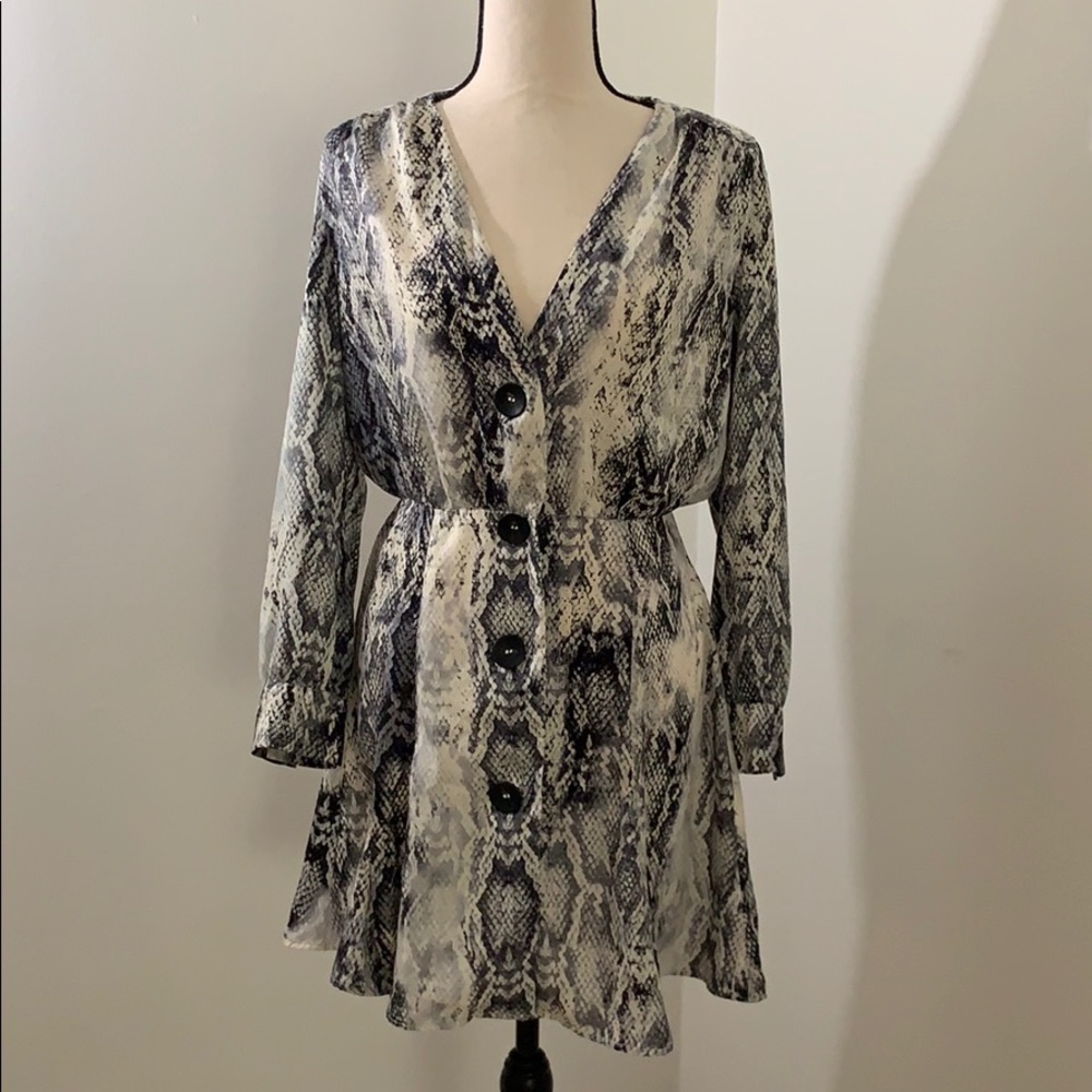 Zara Silk Snakeskin print Dress